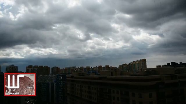 140722 » БЕЗГРОЗОВЫЕ КУДРОВСКИЕ ХРОНИКИ смотреть онлайн