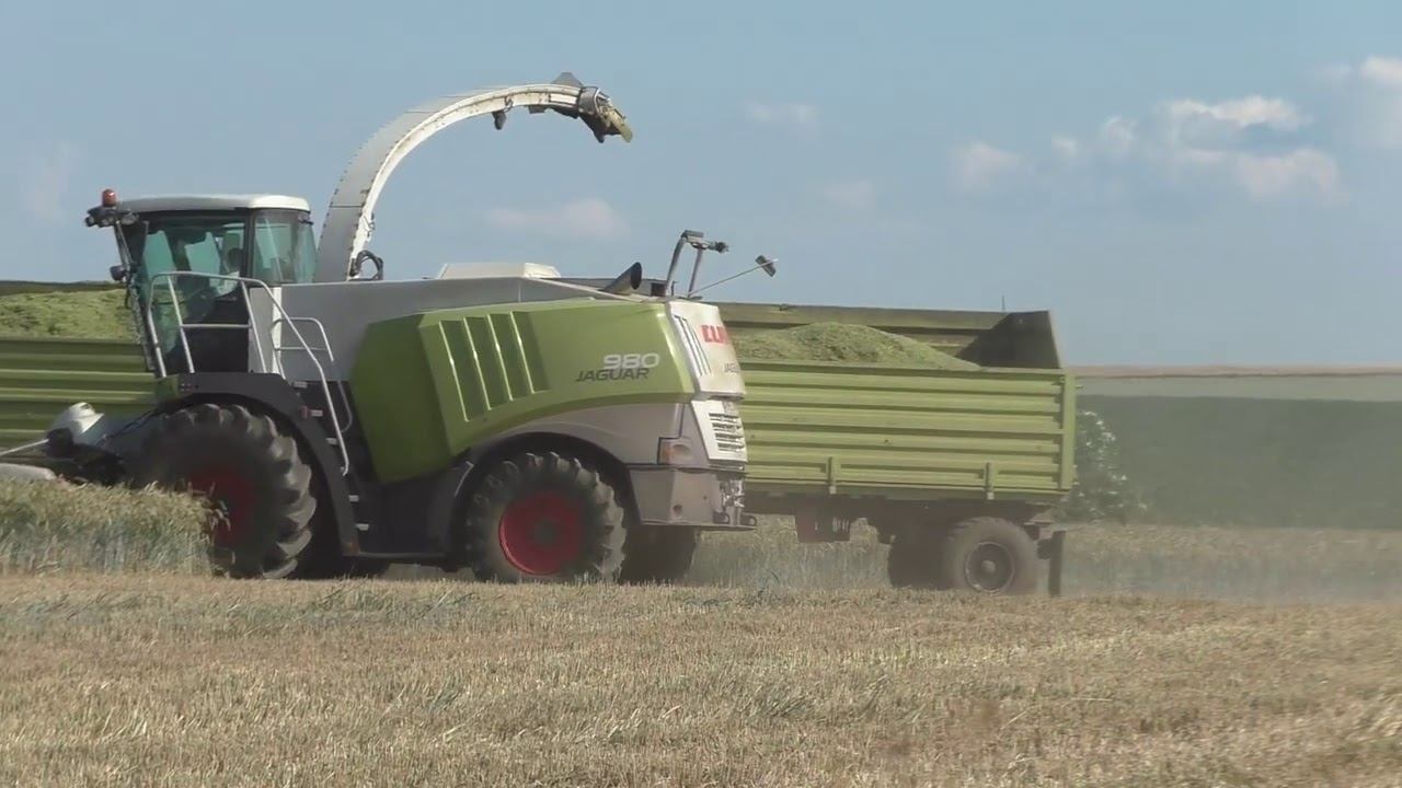 Claas Jaguar 980 Typ 497 mit Direct Disc 610 rast durchs Getreide GPS häckseln mit einen смотреть онлайн