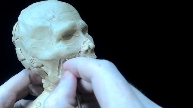ZOMBiE Sculpting смотреть онлайн