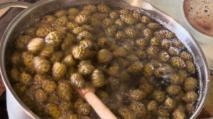 Варенье из молодых шишек сосны