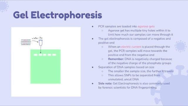 Biotechnology In-Depth Lecture by Vivian Yang смотреть онлайн