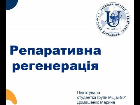 Репаративна регенерація смотреть онлайн