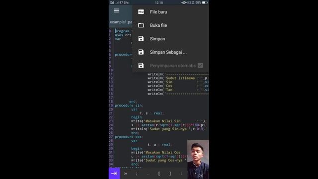 How to use Pascal N-IDE смотреть онлайн