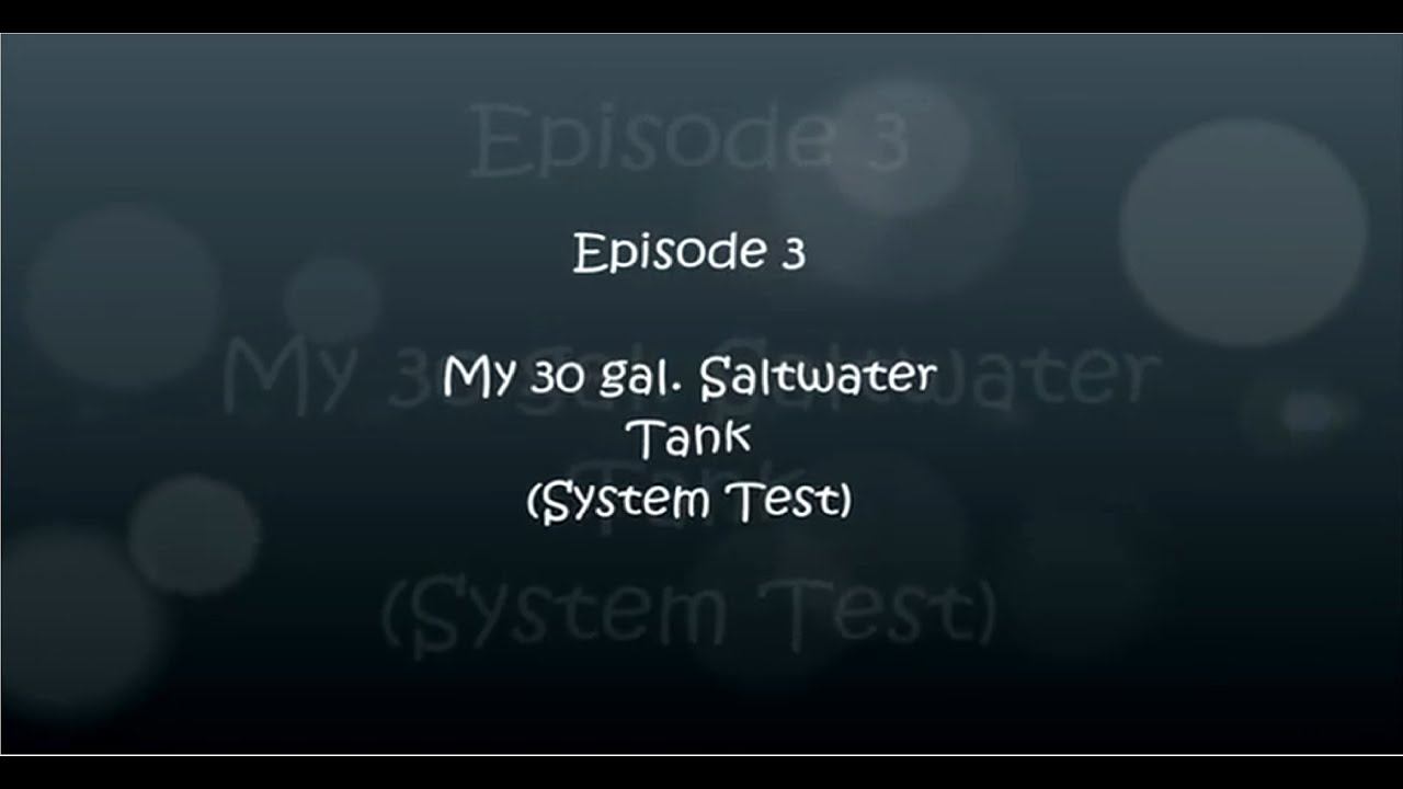 29 gal reef tank/ saltwater tank, system test EP:3 смотреть онлайн