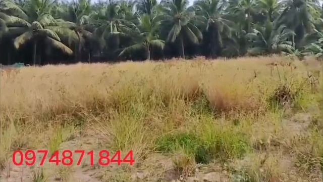 @Bán 960 m2 đất mặt tiền quốc lộ 57 c Sơn Phú giồng trôm bến tre giá 6,7 triệu/ m2 смотреть онлайн
