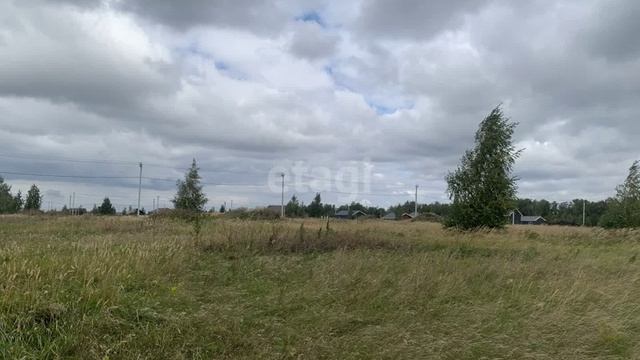 11435957 смотреть онлайн