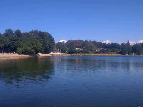 Cell envelope - Wikipedia Article Audio смотреть онлайн