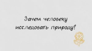 Анимационный ролик проекта "Заповедные смыслы. Наука" #1