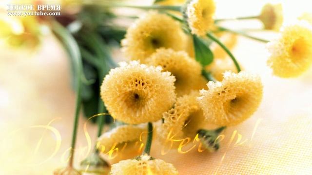 КРАСИВЫЕ ПЕСНИ ОБО ВСЁМ...ДОБРЫЙ ВЕЧЕР! смотреть онлайн