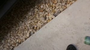 Устраняю грохот замков дверей на Рено Дастер