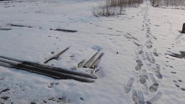 Часник. Перше підживлення аміачною селітрою. 1 частина. смотреть онлайн