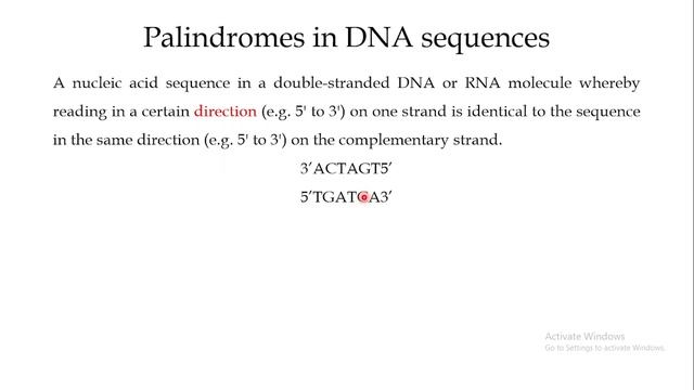 What Is a DNA Palindrome and Its Importance смотреть онлайн