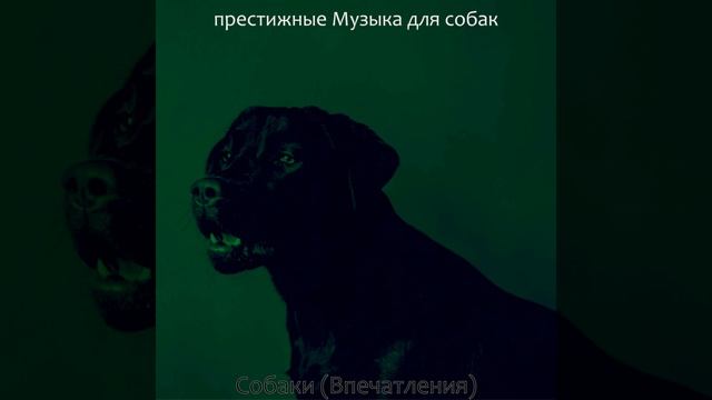 Атмосфера (Спящие собаки) смотреть онлайн