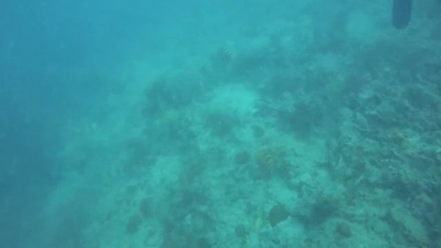 Khao lak смотреть онлайн
