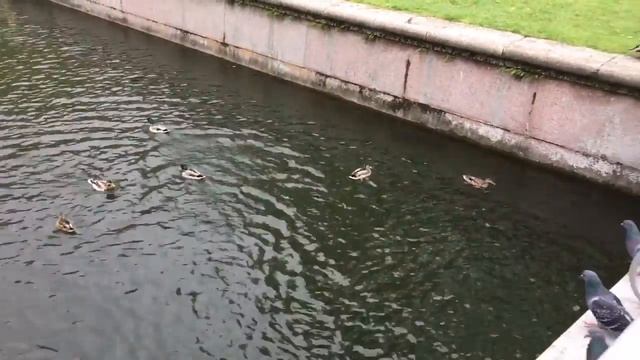 Петергоф в тёплой компании смотреть онлайн