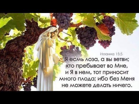 #Евангелие, которое мы приняли от Иисуса Христа и возвещаем ныне всем: #БогЕстьСвет ❤ #БогЕстьЛюбов