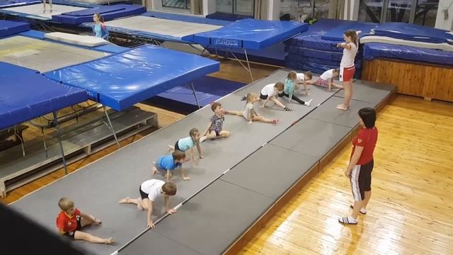 Прыжки в воду смотреть онлайн