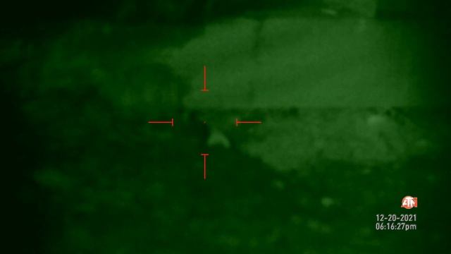 RATS, Rats, Rats & ATN X-Sight LTV 3-9x