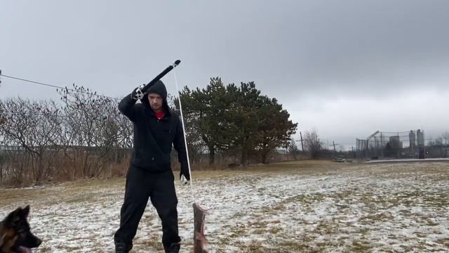 Tucker (Prey drive training) смотреть онлайн