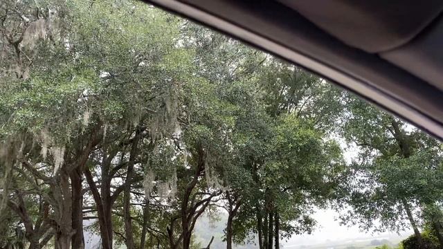 @trinamason Tuesday August 18 2020 2:34pm rain adventure thunder lightening Saint augustine florid смотреть онлайн