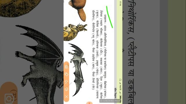 #shortvideo #neet animal kingdom biology Ncert hindi medium up ncert hindi medium up board biology смотреть онлайн