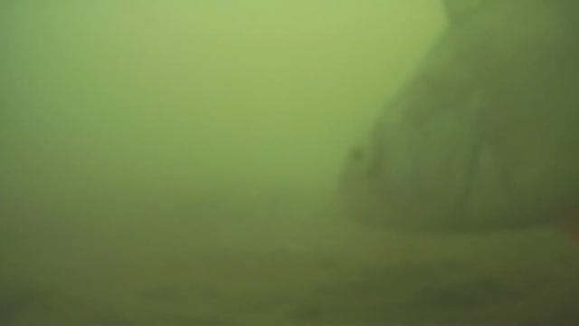 ПОКЛЕВКА КРУПНОГО ОКУНЯ НА БЕЗМОТЫЛКУ. Жесть ! Подводная съемка смотреть онлайн