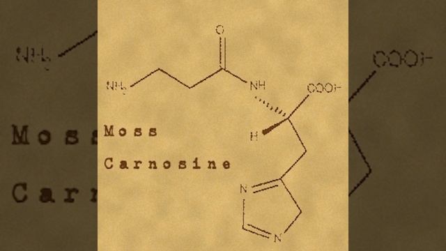 Carnosine