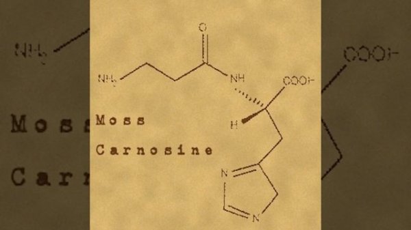Carnosine