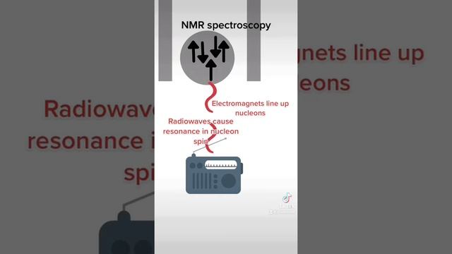 NMR spectroscopy in 12 seconds смотреть онлайн