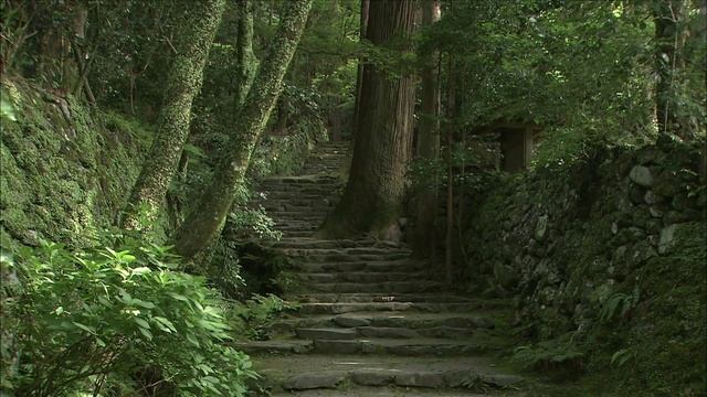 源氏物語　終曲　平家の世へ смотреть онлайн