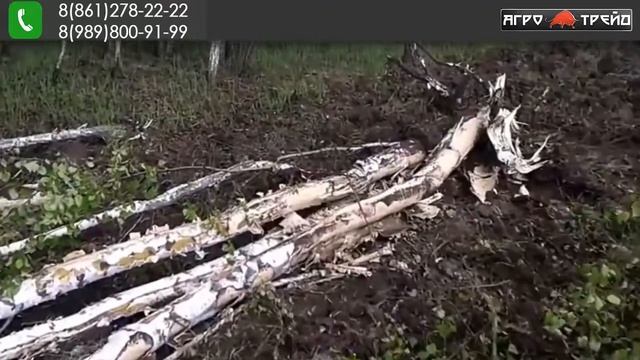 Смотрите как трактор разделывает лес. Валит лес смотреть онлайн