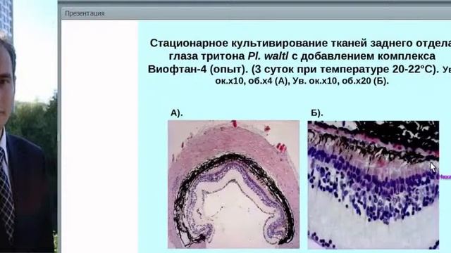 Мое измененное видео смотреть онлайн