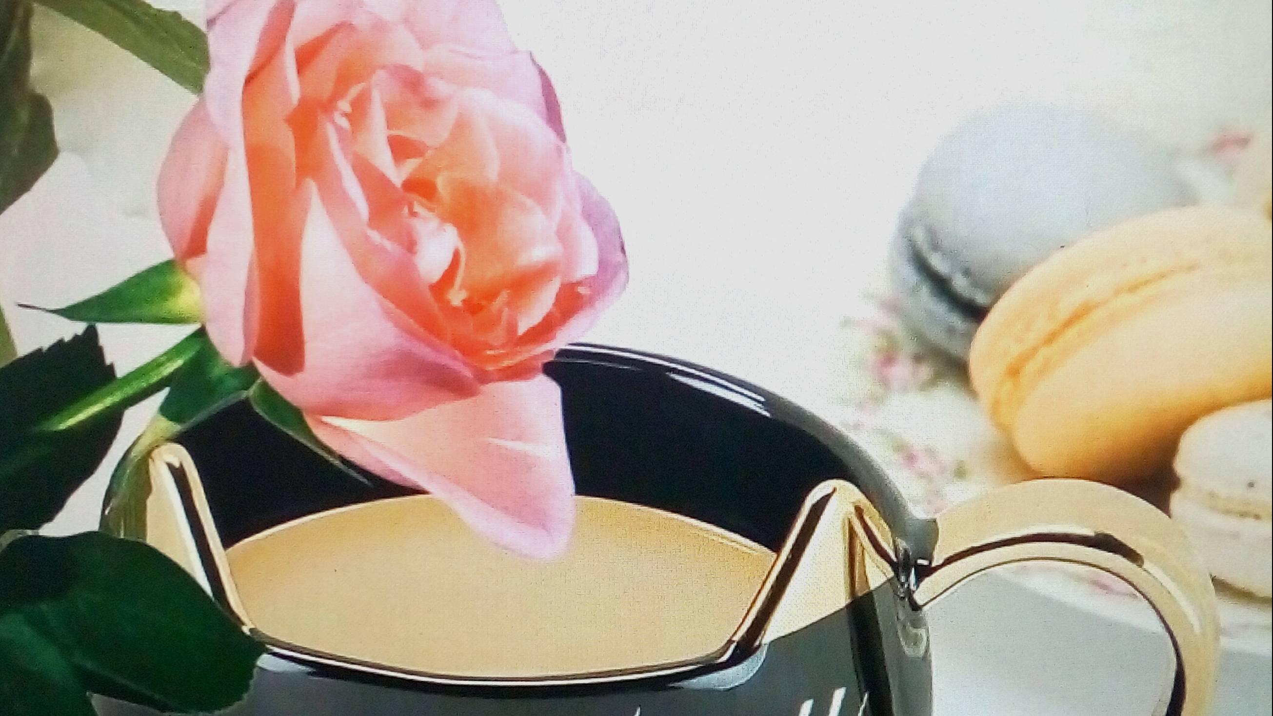 Распаковка из Дикси. смотреть онлайн