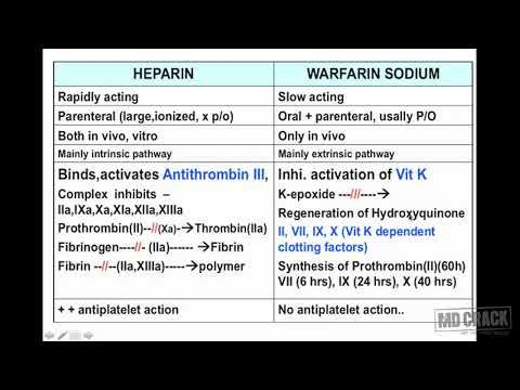 Hematopoietic System Part 3 смотреть онлайн