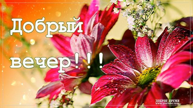 КРАСИВЫЕ ПЕСНИ ОБО ВСЁМ...ДОБРЫЙ ВЕЧЕР!!! смотреть онлайн