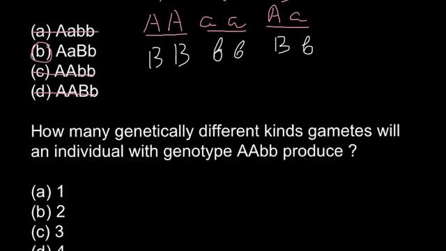 What Is The Difference Between Homozygous And Heterozygous?