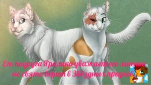 Топ 10 интересных фактов по,, Коты-Воители,,