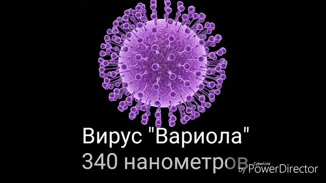 СРАВНЕНИЕ РАЗМЕРОВ (Часть 1 - мельчайшие объекты) смотреть онлайн