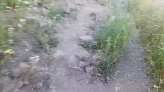 flora y fauna en el cerro colorado tijuana.. смотреть онлайн