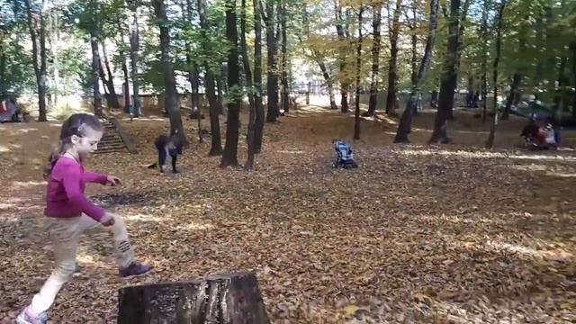Ищу белок в парке. Осень. Осенний парк. смотреть онлайн