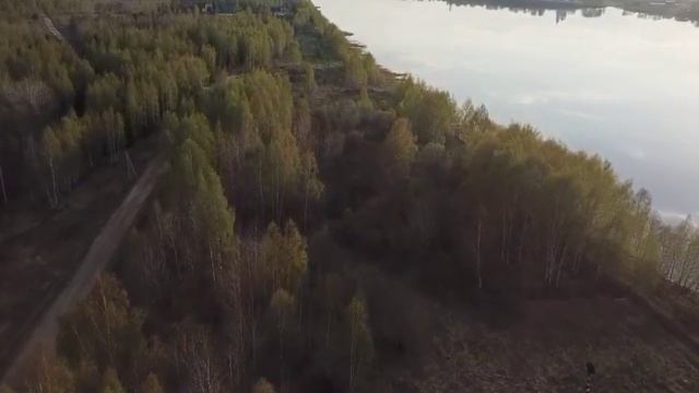 Днп Дубрава смотреть онлайн