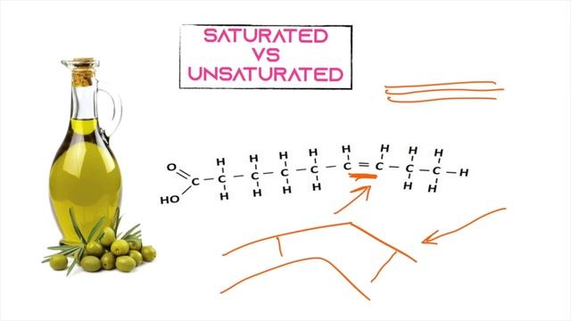 Topic 2: lipids and proteins смотреть онлайн