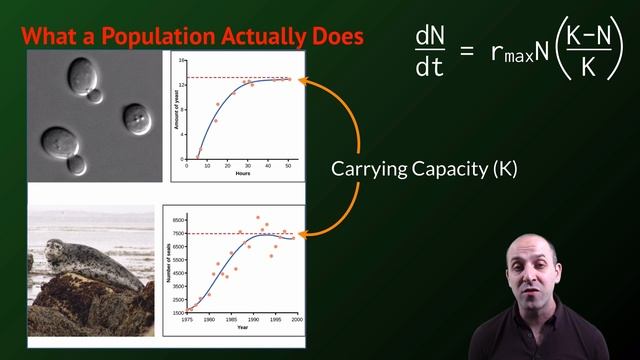 K-Bio Interactions 2: Populations смотреть онлайн
