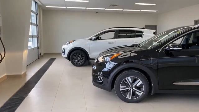 LIVE: Kia Niro vs. Kia Sportage. Would you trade AWD for electric assist efficiency? Let's discuss! смотреть онлайн