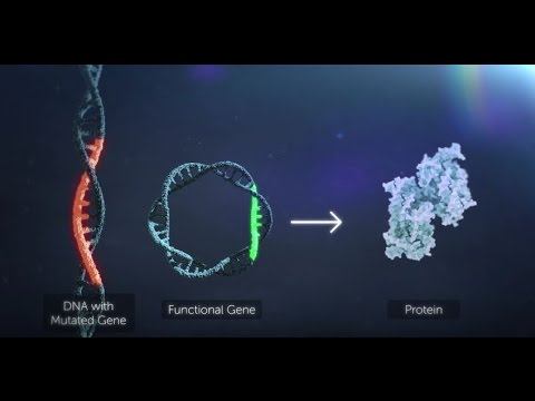 Gene Therapy Explained смотреть онлайн