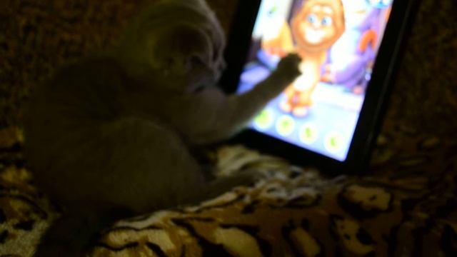 Несбыточная любовь смотреть онлайн