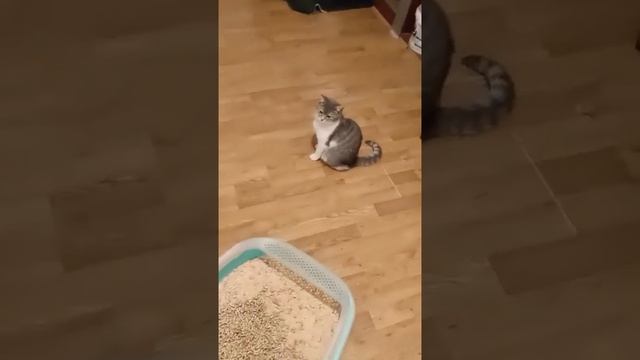Корпорация Юмора - Клип Корпорация Юмора смотреть онлайн