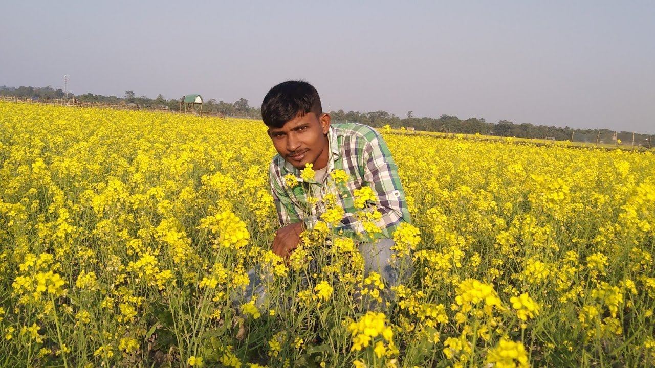 khorihor maje maje alop gurilu #mayongr-lora смотреть онлайн