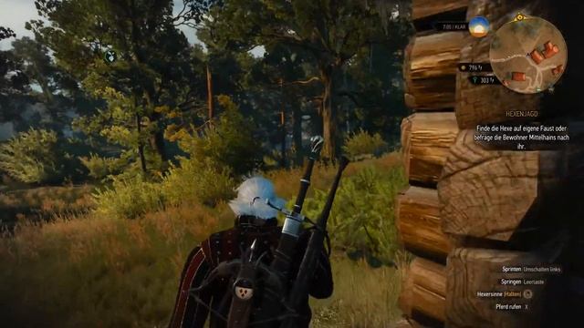 v.23.02.18 Poldis Witcher 3 Wildes Herz[Todesmarsch] смотреть онлайн