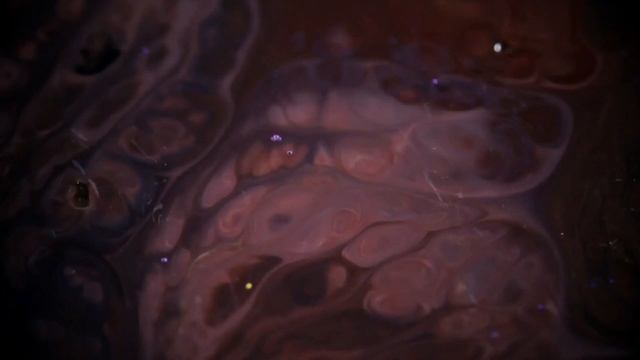 Mescaline [music video] смотреть онлайн